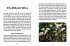 Das kleine Buch: Mein Garten für... - Bild 3