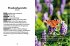Das kleine Buch: Mein Garten für... - Bild 4