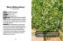 Das kleine Buch: Mein Garten für... - Bild 7