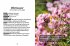Das kleine Buch: Mein Garten für... - Bild 8