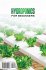 HYDROPONICS FOR BEGINNERS - Bild 2