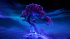 Ori and the Will of the Wisps (Nintendo... - Bild 7