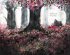 The Tree in Me - Bild 5