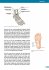 Medizin in Fakten: Gesunder Fuß - Bild 7