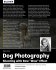 Dog Photography - Shooting with Bow... - Bild 15