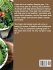 The Effective Dash Diet Cookbook - Bild 2