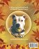A Pitbull Named Joey Coloring and... - Bild 2