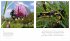 HILFESCHREI DER NATUR - Bild 5
