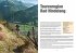 Mountainbiken Allgäu und Tannheimer Tal - Bild 3