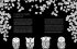 Black Edition: Inspiration Waldtiere - Bild 2