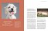 Typgerechtes Welpentraining - Bild 9
