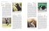 Typgerechtes Welpentraining - Bild 10