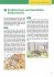 Arbeitsmaterial Grundschule.... - Bild 2