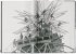 The Eiffel Tower - Bild 5