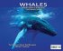 Whales, Library Edition Hardcover - Bild 2