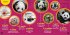Go Wild! Pandas - Bild 4
