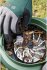 Bosch UniversalGardenTidy 2300... - Bild 5