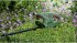Bosch EasyHedgecut 45... - Bild 3