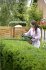 Bosch EasyHedgecut 45... - Bild 9