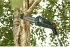 Bosch UniversalChainPole 18... - Bild 8
