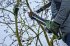 Bosch UniversalChainPole 18... - Bild 10