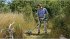 Bosch AdvancedGrassCut 36... - Bild 8