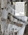 COVID-19 IN REAL-TIME - Bild 2