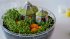 Clementoni Harry Potter - Terrarium - Bild 4