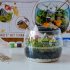 Clementoni Harry Potter - Terrarium - Bild 5