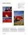 Building with Paper - Bild 7