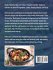 Comfee' Multicooker Cookbook for... - Bild 2