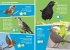 i-SPY Garden Birds - Bild 2