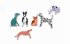 299 Hunde und 1 Katze - Bild 7