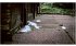 Escape Christmas - Bild 8