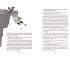 Spark und die Suche nach dem... - Bild 2