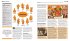 Big Ideas. Das Mythologie-Buch - Bild 6