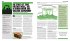 Big Ideas. Das Mythologie-Buch - Bild 7