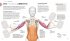 Krafttraining - Die Anatomie verstehen - Bild 2