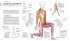 Krafttraining - Die Anatomie verstehen - Bild 3