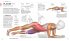 Krafttraining - Die Anatomie verstehen - Bild 5