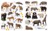 Sticker-Lexikon. Tiere - Bild 8