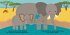 Wo versteckst du dich? Kleiner Elefant - Bild 2