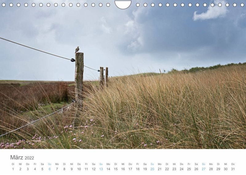 Juist Weihnachten 2022 Juist mein Töwerland (Wandkalender 2022 DIN A4 quer) von Stephanie