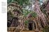 Amazing Temples of the World - Bild 7