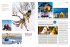 DUMONT Bildatlas Finnland - Bild 11