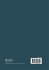 Rethinking Social Work Practice with... - Bild 2