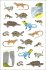 Nature Anatomy Sticker Book - Bild 5