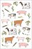 Farm Anatomy Sticker Book - Bild 5