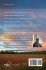 Doors of Our Life - Bild 2