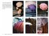 Streetfotografie - Die Kunst,... - Bild 6